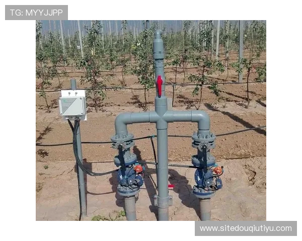 如何在苹果设备上顺利安装斗球直播苹果版本完整操作流程解析