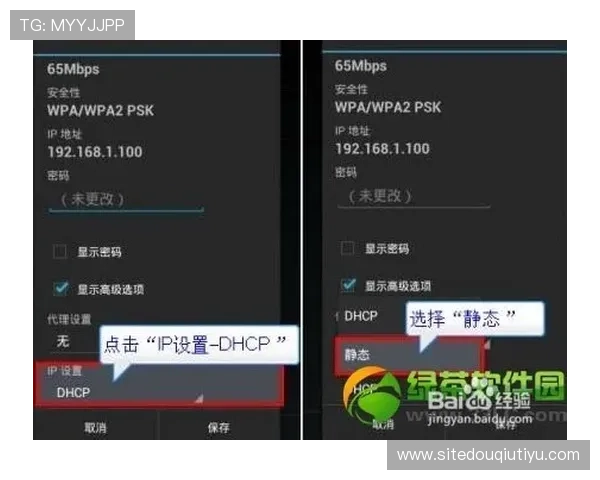 斗球直播iOS版常见问题与解决方案，帮助你排除使用中的各种困扰与技术难题