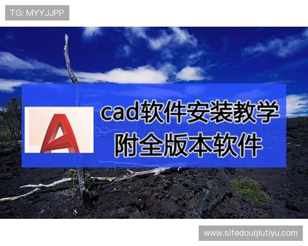 最新斗球电脑版安装指南，确保每位玩家都能顺利完成软件安装